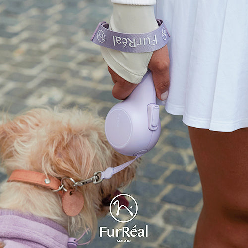 chocoleash retractable leash FS