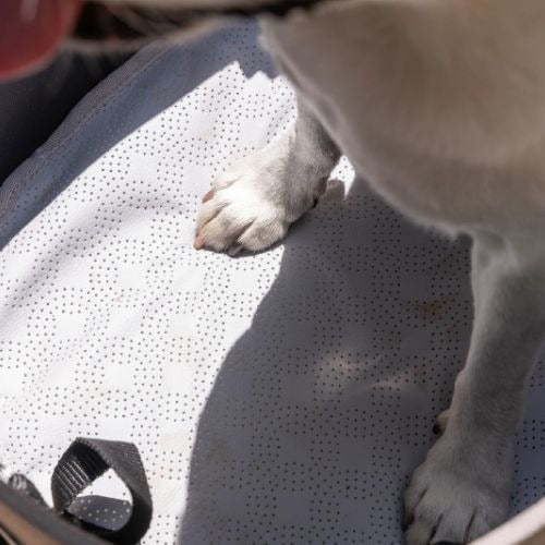 AIRMON Pet　エアモンペット
