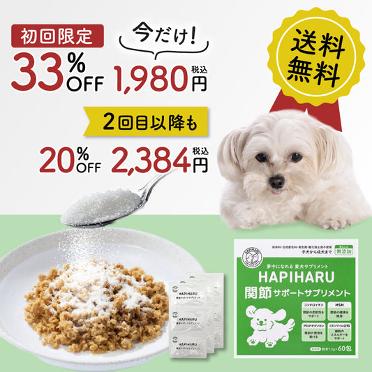関節サポートサプリメント【完全無添加　60包入り　定期初回限定今だけ1000円引き33%オフ!　２回目以降いつでも送料無料20％オフ】
