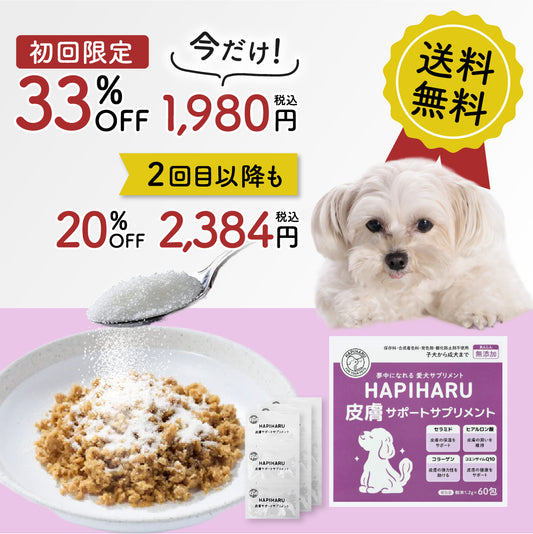 皮膚サポートサプリメント【完全無添加　60包入り　定期初回限定今だけ1000円引き33%オフ!　２回目以降いつでも送料無料20％オフ】